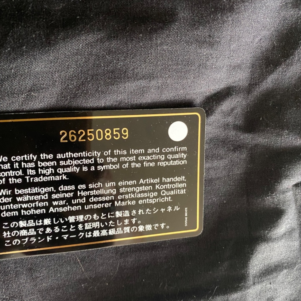 Chanel Camera Bag - Picture 15 of 17